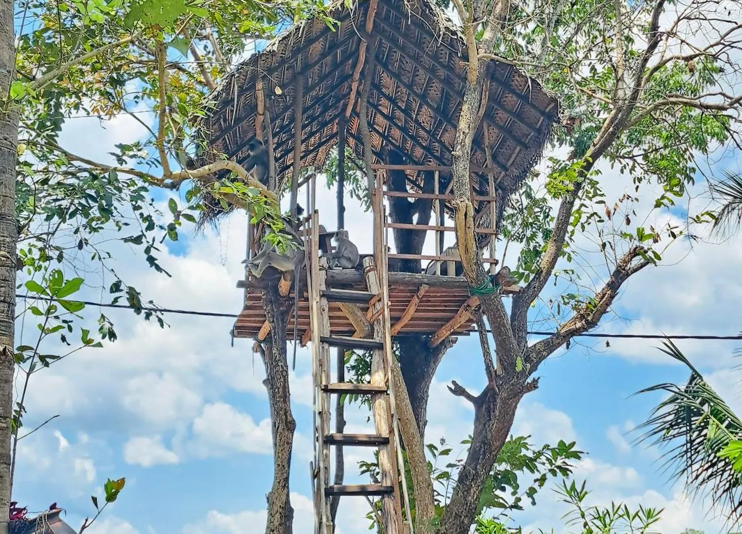 Accommodatie bij particulieren Lucky Villa Sigiriya