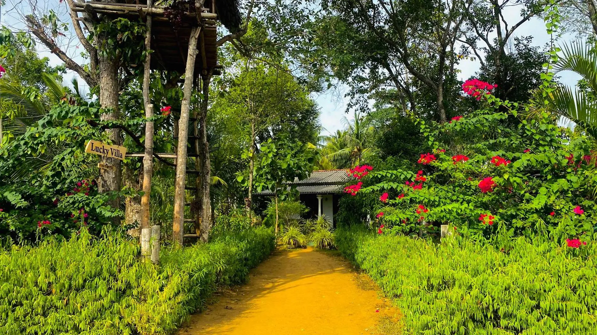 Accommodatie bij particulieren Lucky Villa Sigiriya